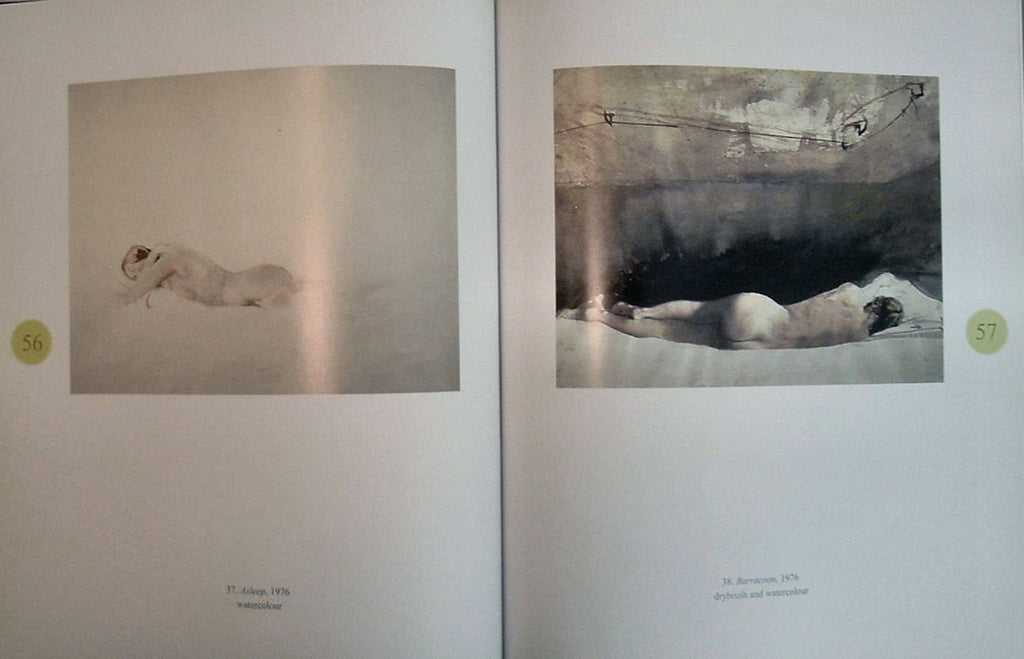 Andrew Wyeth's Helga by Donald Kuspit Limited Edition As New 2004