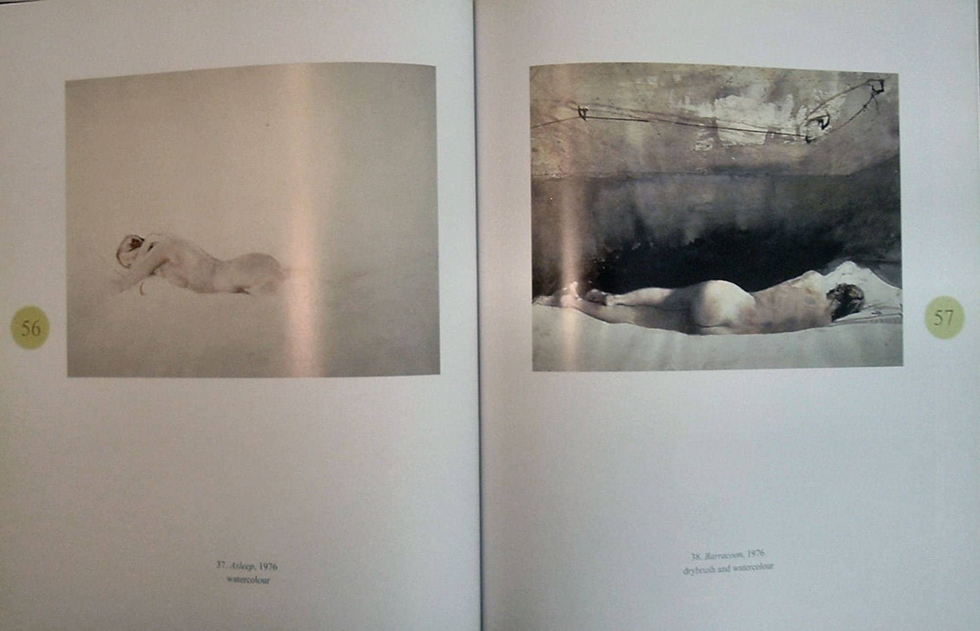 Andrew Wyeth's Helga by Donald Kuspit Limited Edition As New 2004