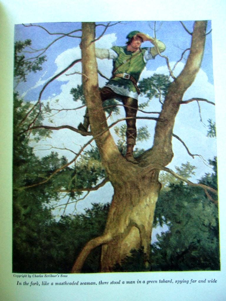 The BLACK ARROW by Robert Louis Stevenson Illus by NC Wyeth 1926