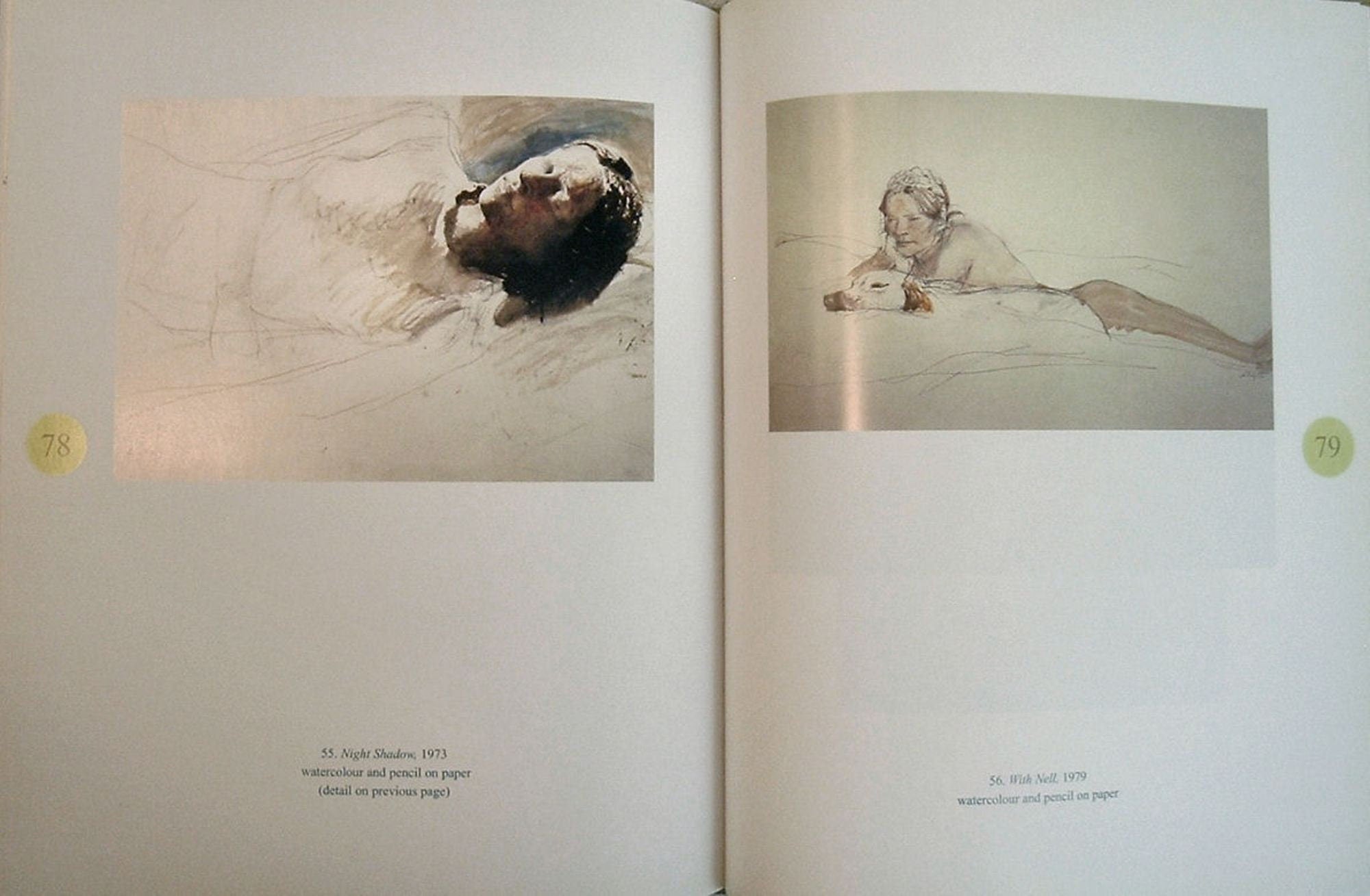 Andrew Wyeth's Helga by Donald Kuspit Limited Edition As New 2004