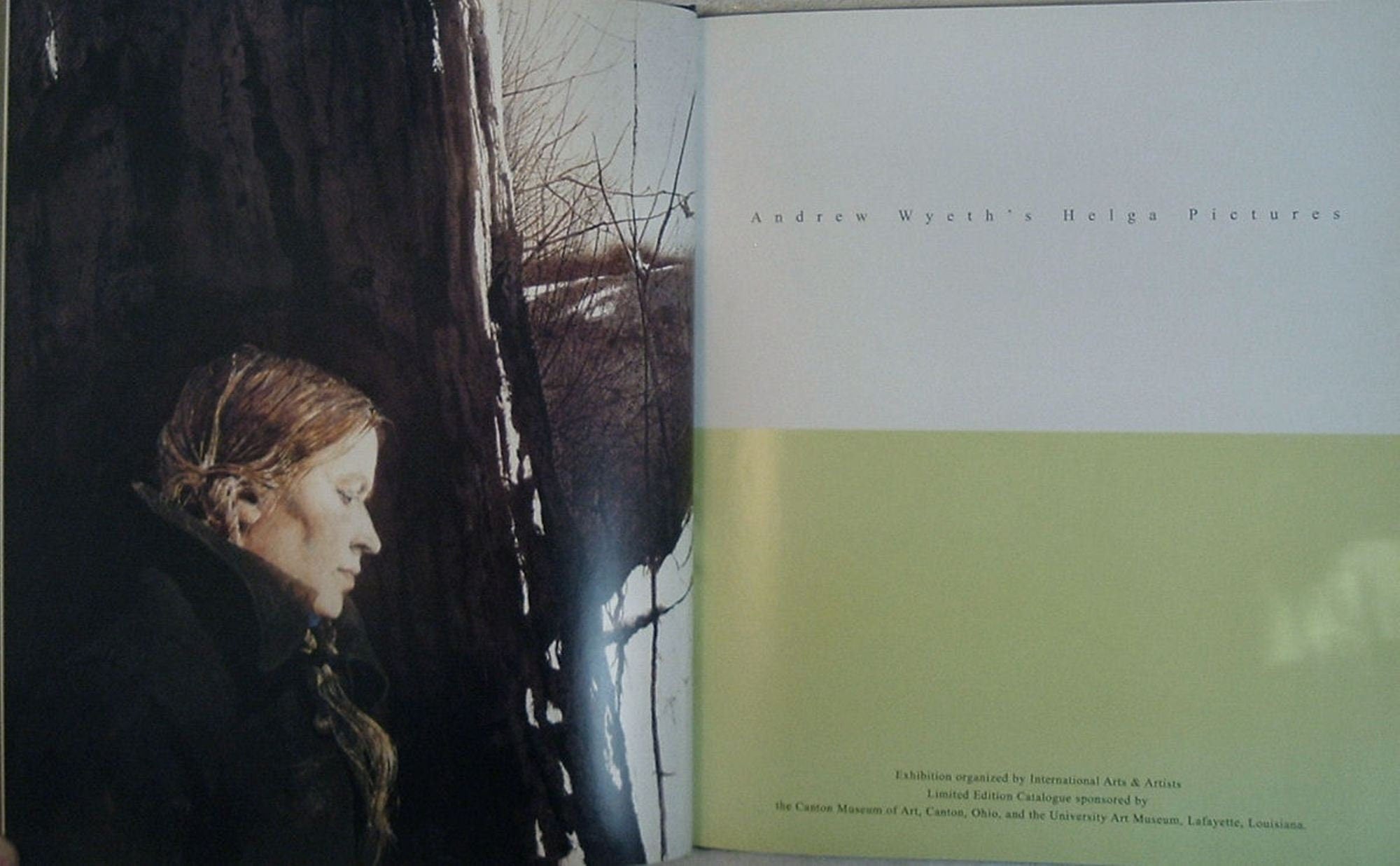 Andrew Wyeth's Helga by Donald Kuspit Limited Edition As New 2004