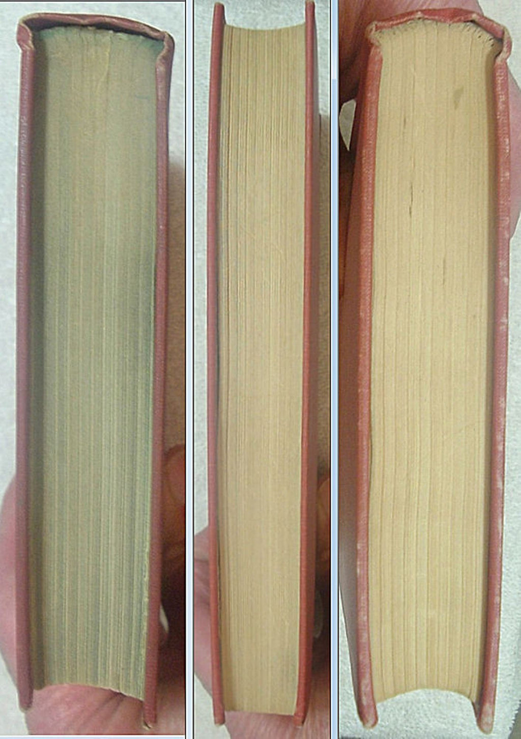THE WAYWARD BUS by John Steinbeck Viking Press First Edition 1947