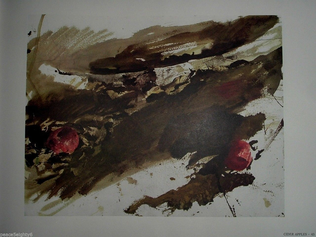 ANDREW WYETH by Richard Meryman 165 Color Prints With Dust Jacket First Edition 1968