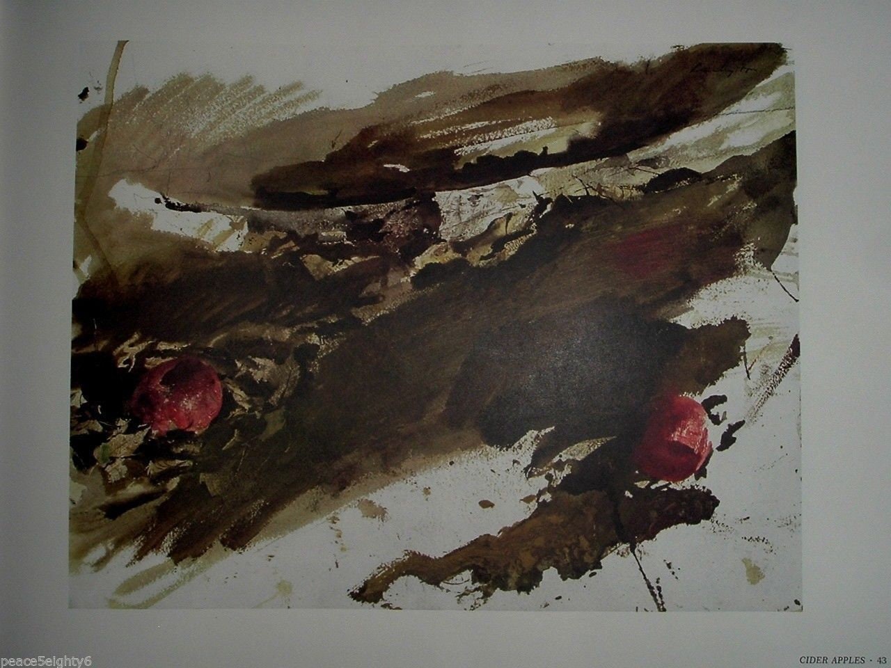 ANDREW WYETH by Richard Meryman 165 Color Prints With Dust Jacket First Edition 1968