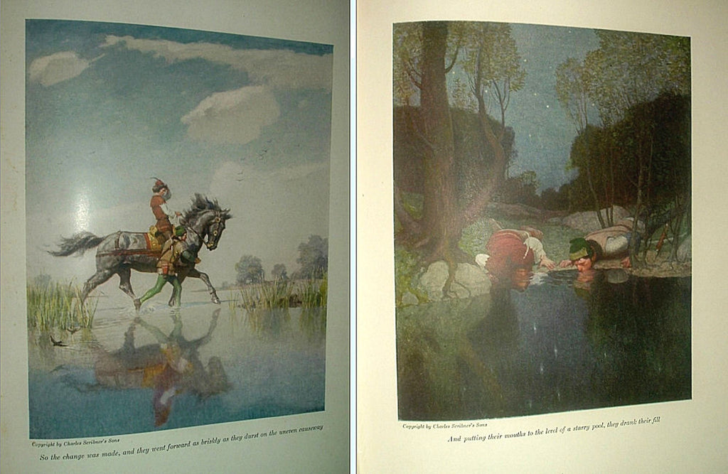 The BLACK ARROW by Robert Louis Stevenson Illus by NC Wyeth 1926