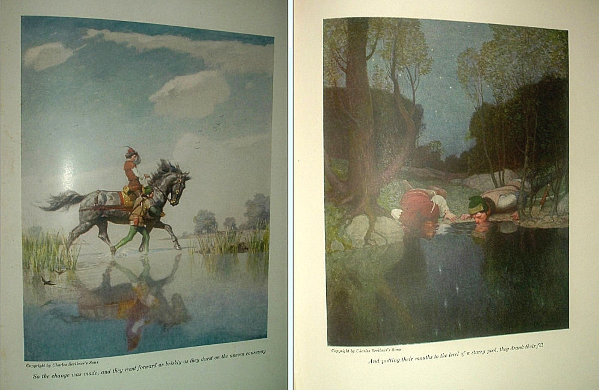 The BLACK ARROW by Robert Louis Stevenson Illus by NC Wyeth 1926