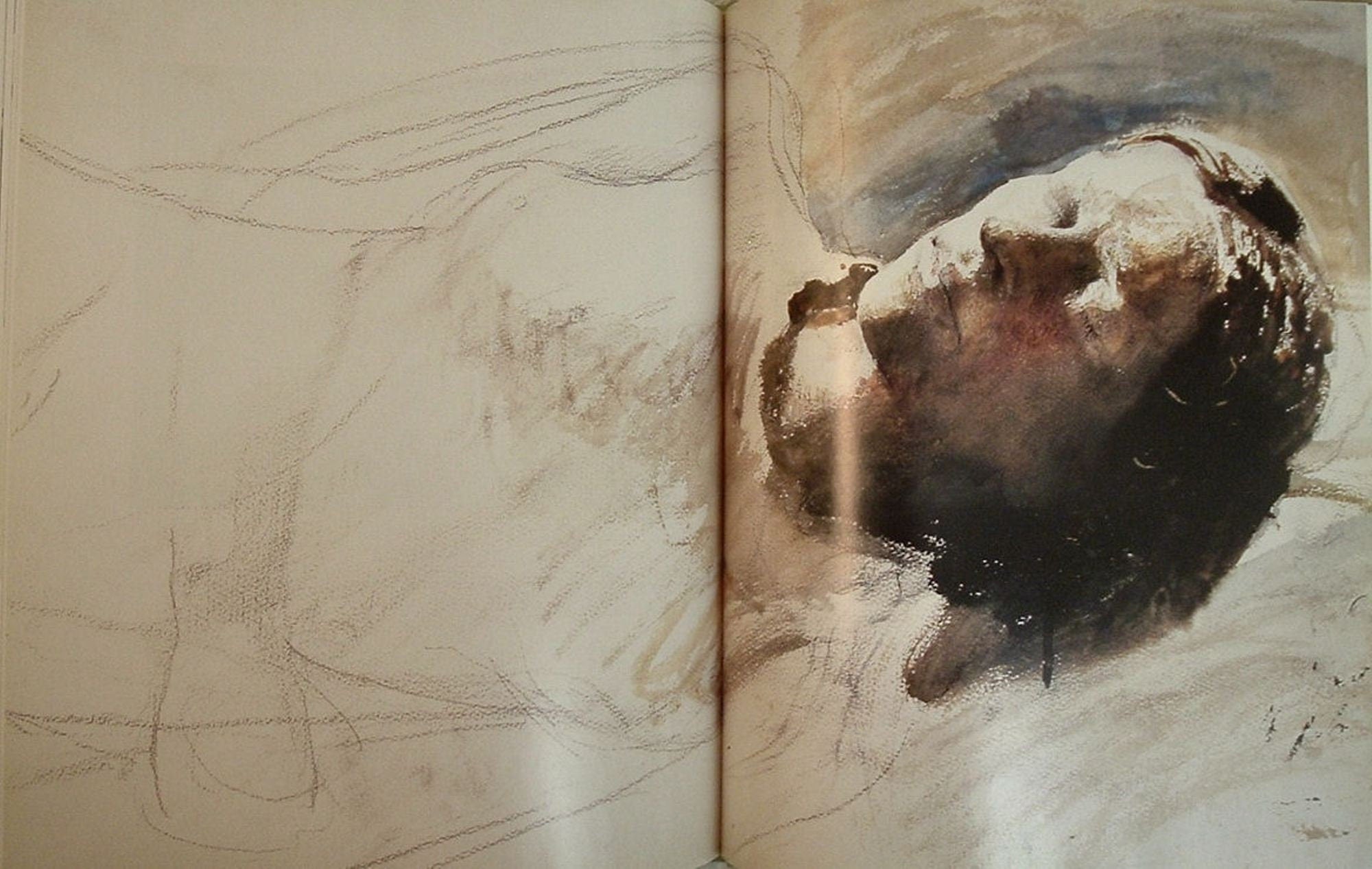 Andrew Wyeth's Helga by Donald Kuspit Limited Edition As New 2004