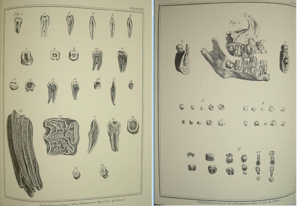 The Natural History of the Human Teeth by John Hunter Gryphon Editiions Full Leather 1979