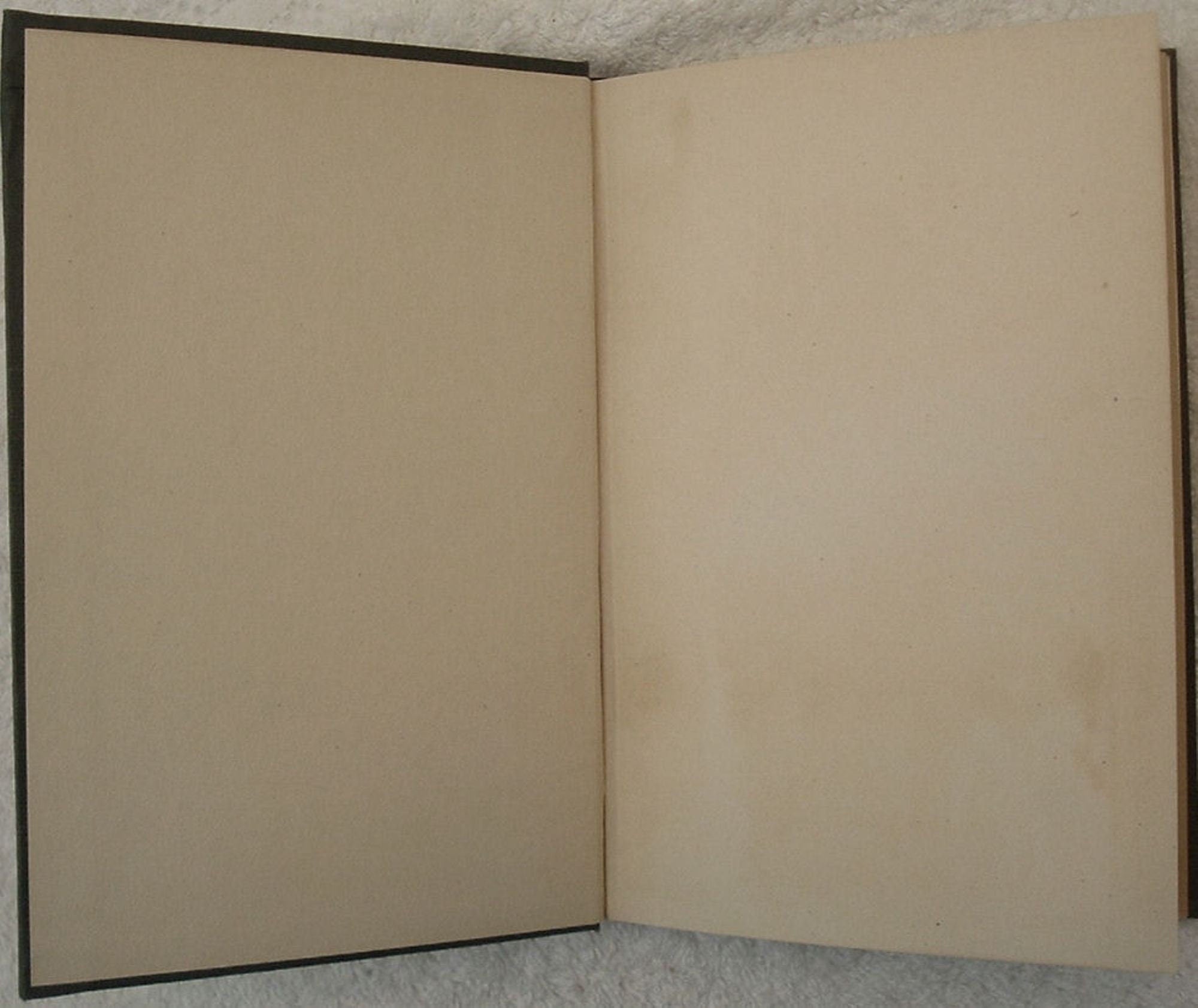 With God In The Yellowstone by Alma White First Edition Illustrated 1920